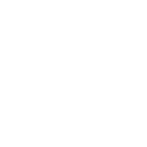 github andrey sobolevsky